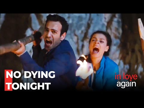 Zombie Fear On The Island - In Love Again