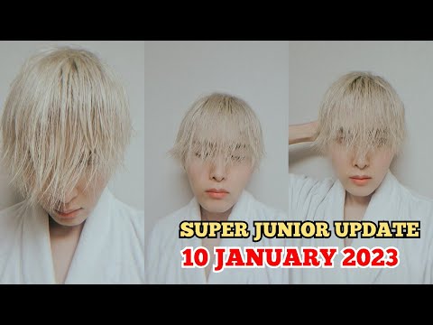 RYEOWOOK :  TO CUT MY HAIR OR NOT ...