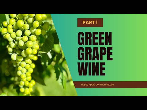 Green Grape Wine | Himrod | Part 1