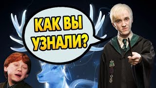КАКОЙ ПАТРОНУС У ДРАКО МАЛФОЯ? Ответы на вопросы #117