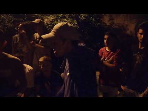 PUNISHER MATTE ALEXUNDER vs NOCHI QUARE ELIAS | 4tos (3v3) | ft La Jaula Free