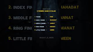 Download lagu 5 FINGERS NAME IN ISLAM... #farz #shahadat #jannat #amanat #ameen #islam #allahuakbar #ibadatedeen mp3