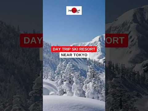 【Japan Travel Guide】Day trip ski from Tokyo just 90 minute Shinkansen ride ⛄️✨🤍