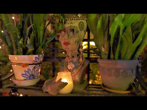 Her midnight wonderland backyard explored