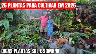 26 PLANTAS PARA CULTIVAR EM 2026: DICAS PARA POUCO E GRANDES ESPAÇOS | CULTIVO NO SOL E NA SOMBRA 