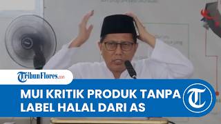 Cholil Nafis Kritik Perjanjian RI-AS: Produk Amerika Masuk Tanpa Kewajiban Sertifikasi Halal