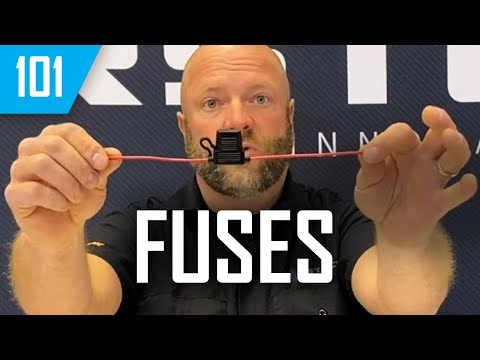 Mbec1 Fuse Meaning
