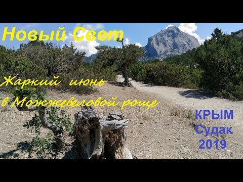 Крым, Можжевеловая роща, Новый Свет, Судак 2019, 27 июня. Жара, всё высохло, толпы туристов