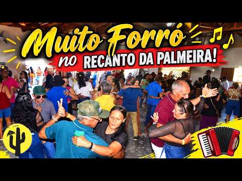 🎶 MUITO FORRÓ NO RECANTO DAS PALMEIRAS - Ep2 🌵
