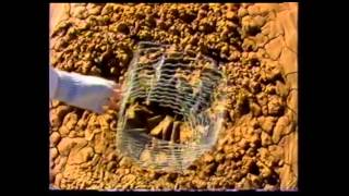 Trees for Wind Erosion Control - SCS legacy video