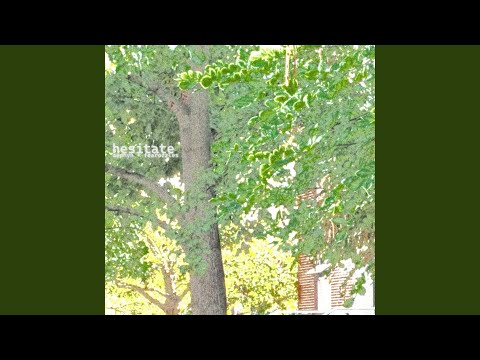Video thumbnail for ​hesitate
