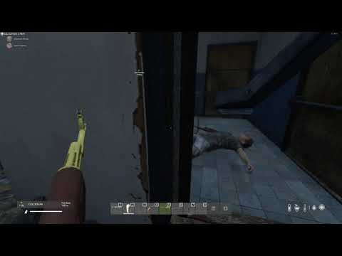 Dayz, Golden AK