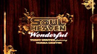 Terry Hunter Featuring Terisa Griffin ‎-- Wonderful