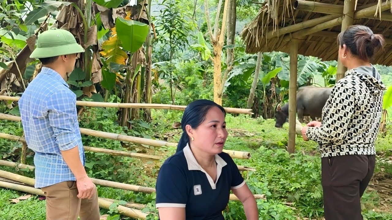 Finally, Mr. Toan found his buffalo in a faraway place