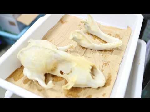 生物産業学部 海洋水産学科（※2018年4月 アクアバイオ学科より名称変更）