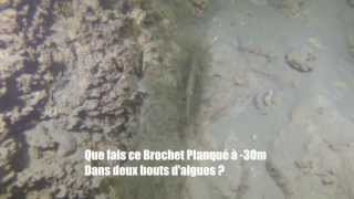 preview picture of video 'plongee tombant chatillon chindrieux lac du bourget deep ccr tartiflette team'