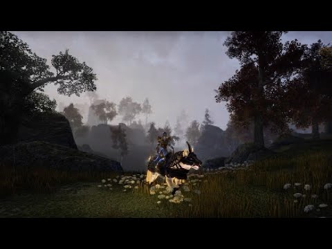 PVP | Magplar | No CP Build