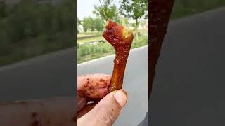 Download lagu ASMR Eating Spicy Chicken Feet 🌶️ Crunchy Sounds #asmr #mukbang #eatingsounds #foodasmr #satisfying mp3 Download lagu ASMR Eating Spicy Chicken Feet 🌶️ Crunchy Sounds #asmr #mukbang #eatingsounds #foodasmr #satisfying mp3