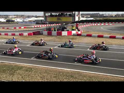 Start Prefinal A KZ2 WSK Super Master Series Round 2, Lonato 2019