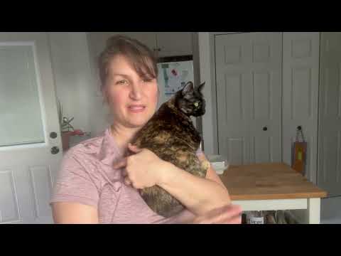 Meet Brenna.  She has hyperthyroidism.