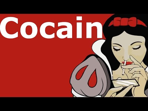 Kaveh - Snufs feat. OnklP (Slammer Remix) (Bass Boosted)