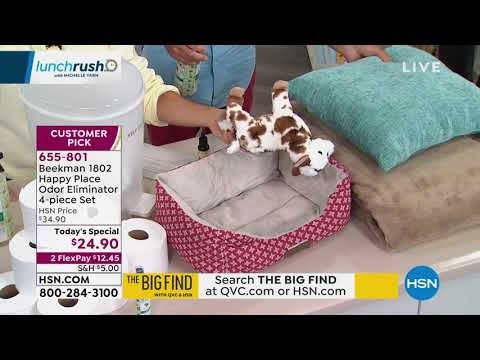 HSN | Lunch Rush with Michelle Yarn 07.23.2019 - 12 PM