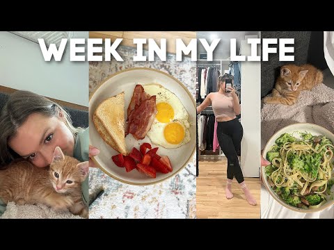 WEEK IN MY LIFE VLOG: starting our wedding invitations, what I eat in a week, kitten updates & MORE✨