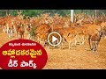 Deer Park Karimnagar || Picnic Spot || Tourist Places in Telangana || DigitalBixTV Telugu