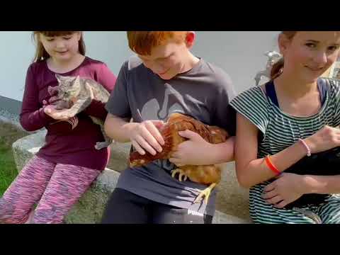 Gschwendnerhof Urlaub auf dem Bauernhof