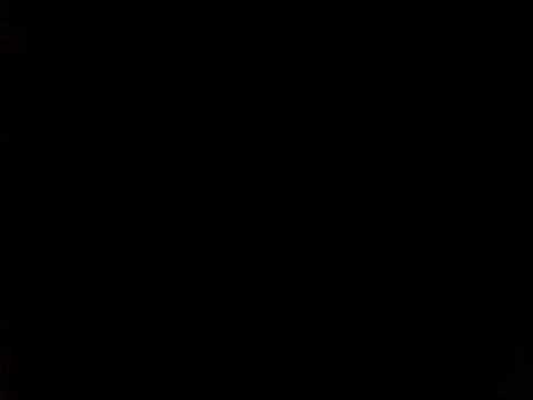 Mr Shakespeare Skank