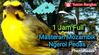 Download lagu Masteran Mozambik ngerol Pedas mp3