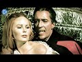 GRAVE OF THE VAMPIRE SEED OF TERROR Full Exclusive Horror Movie Premiere English HD 2023