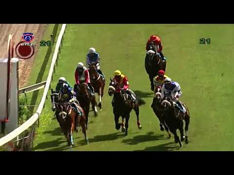 RM2 R1 | Eurotec | P.C.Orffer