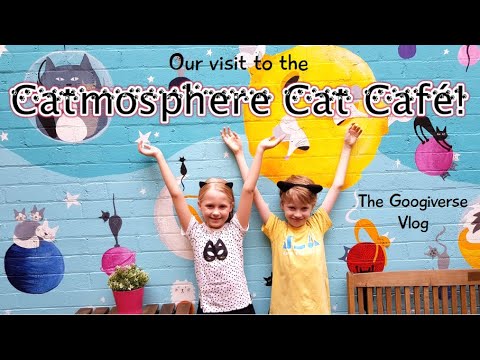 PLAYING WITH KITTENS at Catmosphere Cat Cafe! || The Googiverse Vlog