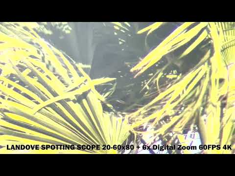 Landove Spotting Scope 20-60x80