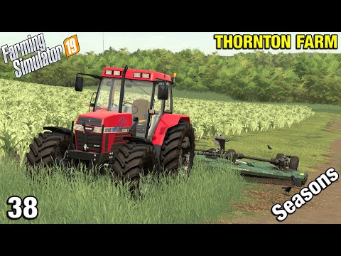 BUYING A SMALL YARD TRACTOR Thornton Farm Timelapse - FS19 Ep 38