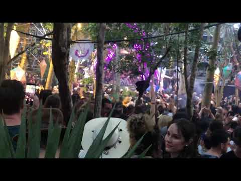 Damián Lazarus Day Zero Tulum 2020 (Extended)