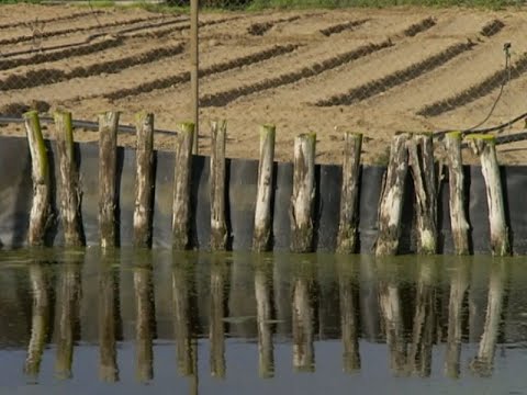 Sanlúcar y los tollos de Monte Algaida: agricultura tradicional y aprovechamiento del agua en Doñana