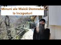Minuni Ale Maicii Domnului La începuturi Părintele Pimen Vlad