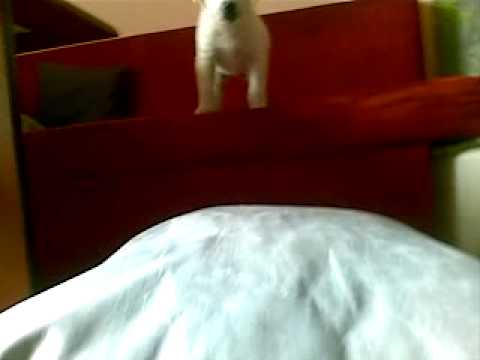 Djura - Ma hrabar sam ja nego mi se klizaju opanci