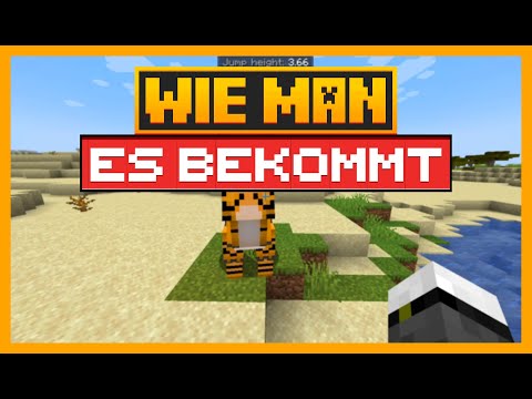 SO ERHALTEN SIE DIE NACKTSCHNECKE IN MINECRAFT MIT DEM MYTHIC MOUNTS MOD