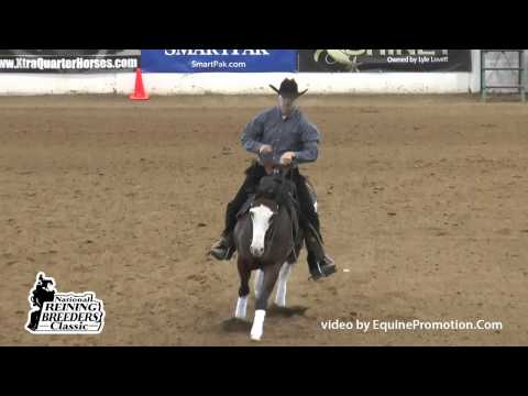 Gun Gotta Star ridden by Trent Harvey - 2014 NRBC(Open Classic 1st Go)
