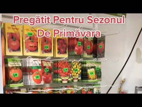 🍅✅💯5 Very Good Tomato Hybrids! I recommend!🍅💯✅