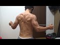 【自宅で筋トレ・三角筋小円筋】家トレでどこまで腕を太くできるか6日目　muscle training Deltoid