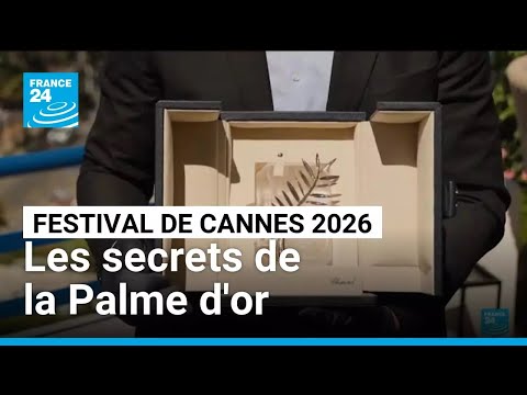 The official Live of the Festival de Cannes 2026