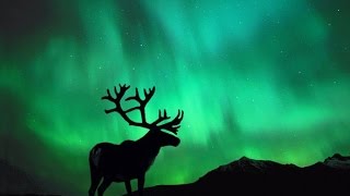 Kenny G - Northern Lights