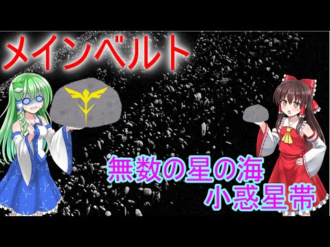 ミドルベルトについて詳しく解説