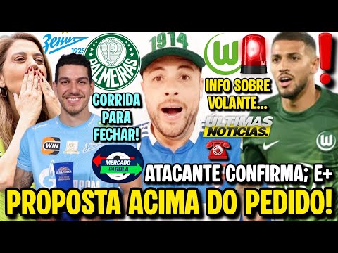 PALMEIRAS CORRE PARA FECHAR COM NINO! VOLANTE CONTATADO PELO VERDÃO, MAS...! B.RODRIGUES CONFIRMA E+