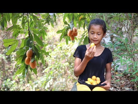 Find food meet sweet yellow mango for eat - Natural yellow mango eating delicious #14 Video