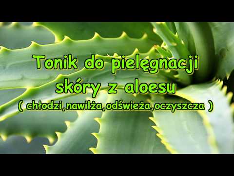 Ile przeszczep włosów w Rostowie nad Donem Maska do włosów jeśli porowate włosy